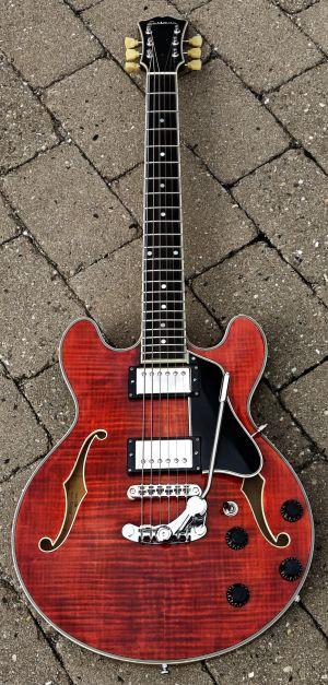 Eastman T484